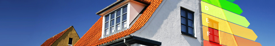 Banner - Frank Bongartz