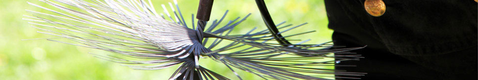 Banner - Frank Bongartz